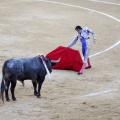 Castellón, Magdalena 2013