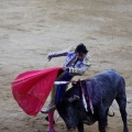 Castellón, Magdalena 2013