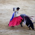 Castellón, Magdalena 2013