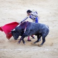 Castellón, Magdalena 2013