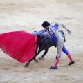 Castellón, Magdalena 2013