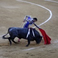 Castellón, Magdalena 2013