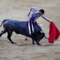 Castellón, Magdalena 2013