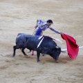 Castellón, Magdalena 2013