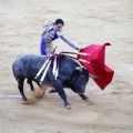 Castellón, Magdalena 2013