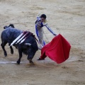 Castellón, Magdalena 2013
