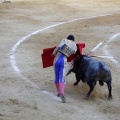 Castellón, Magdalena 2013