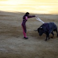 Castellón, Magdalena 2013