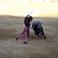 Castellón, Magdalena 2013