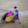Castellón, Magdalena 2013
