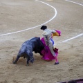 Castellón, Magdalena 2013