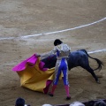 Castellón, Magdalena 2013
