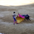 Castellón, Magdalena 2013