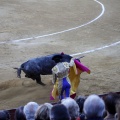 Castellón, Magdalena 2013
