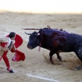 Castellón, Magdalena 2013