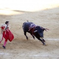 Castellón, Magdalena 2013
