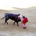 Castellón, Magdalena 2013