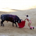 Castellón, Magdalena 2013