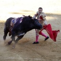 Castellón, Magdalena 2013