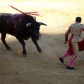 Castellón, Magdalena 2013