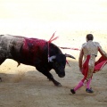 Castellón, Magdalena 2013