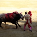 Castellón, Magdalena 2013