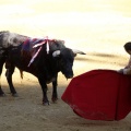 Castellón, Magdalena 2013