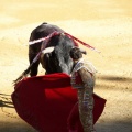 Castellón, Magdalena 2013