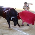 Castellón, Magdalena 2013
