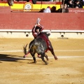 Castellón, Magdalena 2013