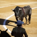 Castellón, Magdalena 2013