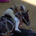 Castellón, Magdalena 2013