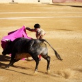 Castellón, Magdalena 2013