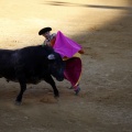 Castellón, Magdalena 2013