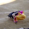Castellón, Magdalena 2013