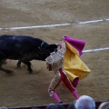 Castellón, Magdalena 2013