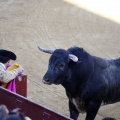 Castellón, Magdalena 2013