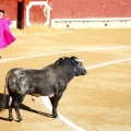 Castellón, Magdalena 2013