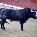 Castellón, Magdalena 2013