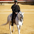 Castellón, Magdalena 2013