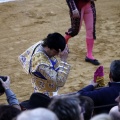Castellón, Magdalena 2013