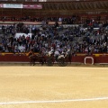 Castellón, Magdalena 2013