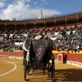 Castellón, Magdalena 2013