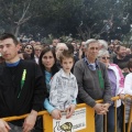 Castellón, Magdalena 2013