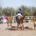 Castellón, Club Hípico Mediterráneo de Burriana