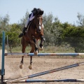 Castellón, Club Hípico Mediterráneo de Burriana