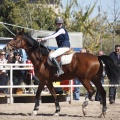 Castellón, Club Hípico Mediterráneo de Burriana