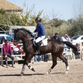 Castellón, Club Hípico Mediterráneo de Burriana