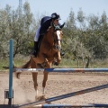 Castellón, Club Hípico Mediterráneo de Burriana