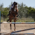 Castellón, Club Hípico Mediterráneo de Burriana